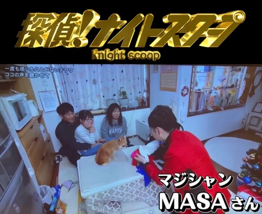 探偵ナイトスクープ マジシャンMASA テレビ出演